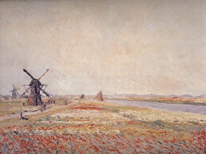 Claude Monet Field of Flowers and Windmills Near Leiden Germany oil painting art